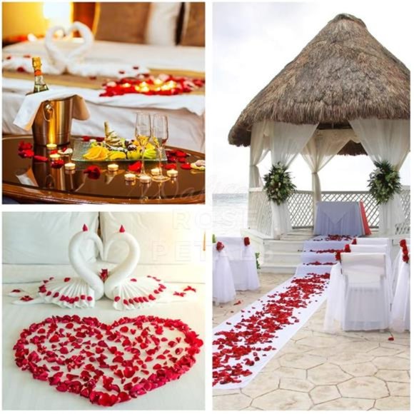 1,000 PCS Silk Rose Petals for Wedding Flower Petals for Romantic Decorations - Picture 7 of 7